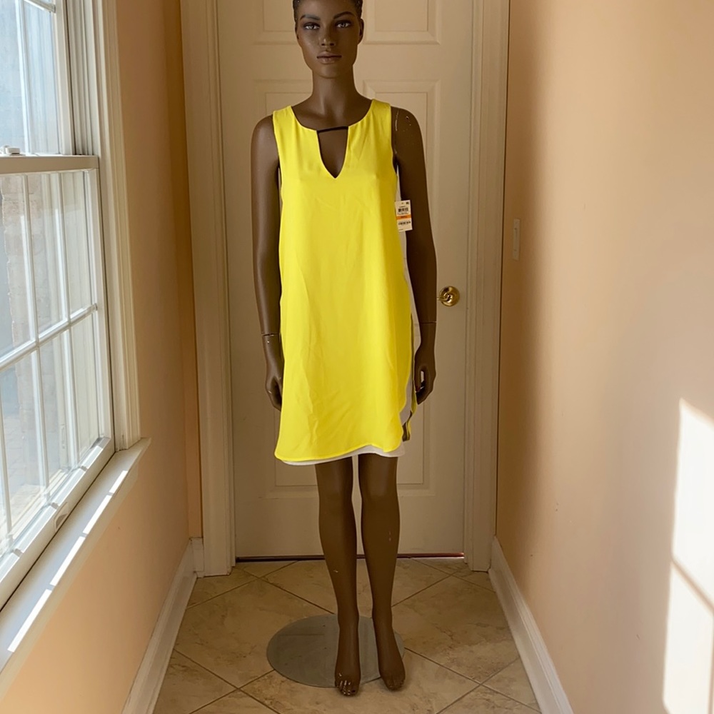 NWT BAR III DRESS